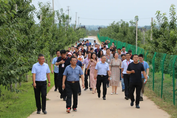 061596675655870725.png 50.png