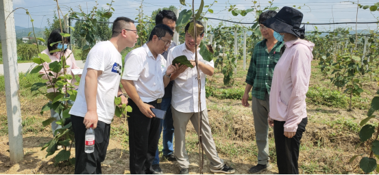 121597193351927146.png 1596789321(1).jpg