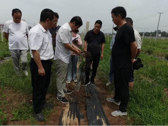 121597193390538249.png 1596789312(1).jpg