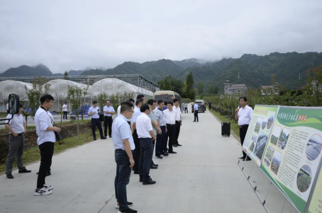 171597626472291439.png 78.png