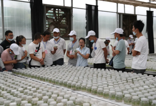 171597626793956472.png 80.png