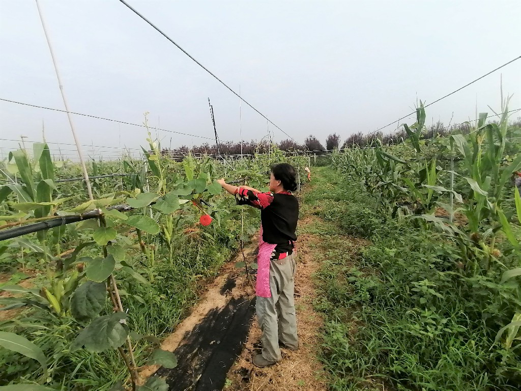 191597801190173955.jpeg 基地周2.jpg