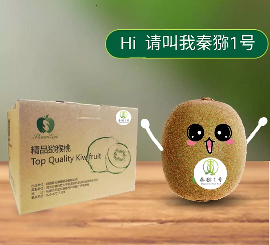 191597801466964763.png 最新秦猕1号图.png