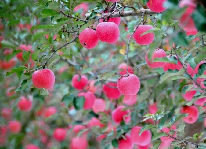 191597825134592509.png 90.png