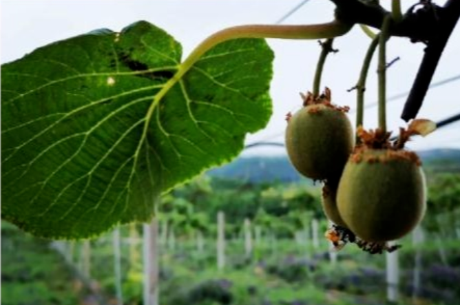 191597825182528425.png 91.png