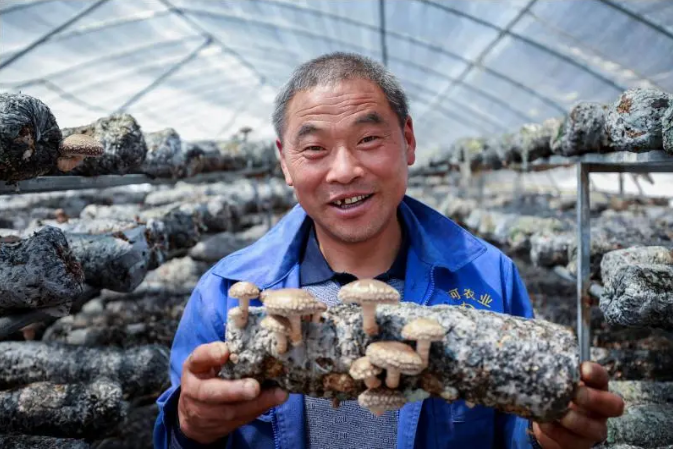 191597825211641467.png 92.png