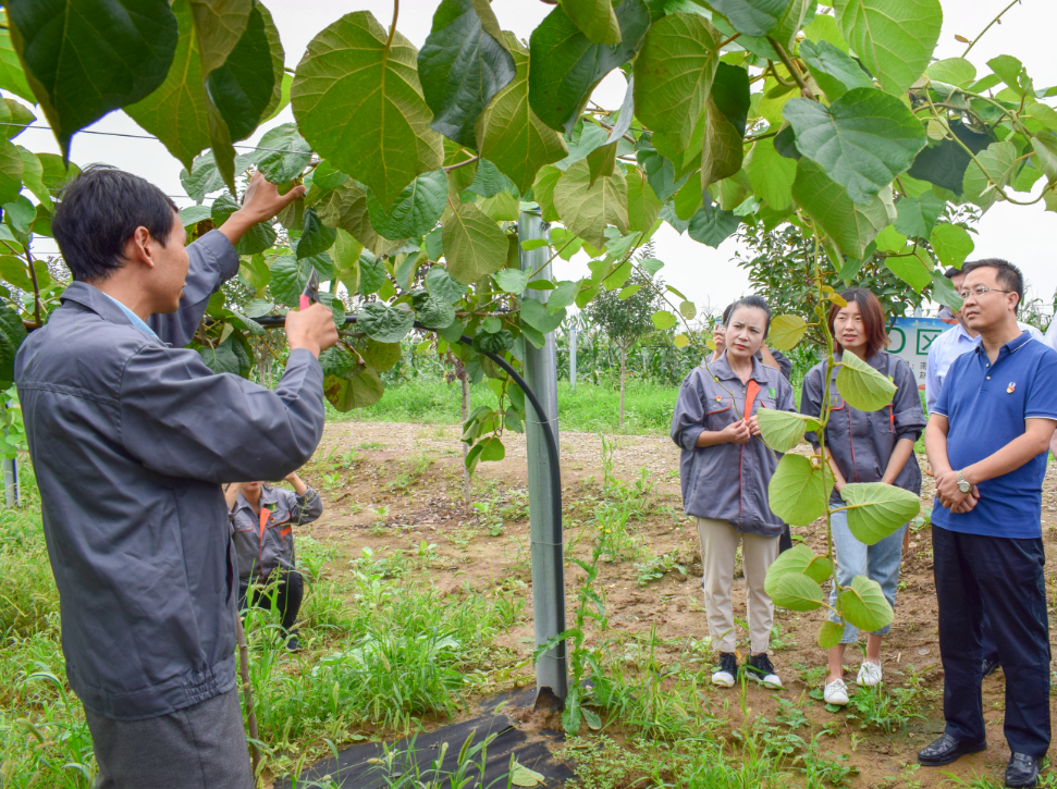 221598062402690619.png 微信图片_20200822101056.png