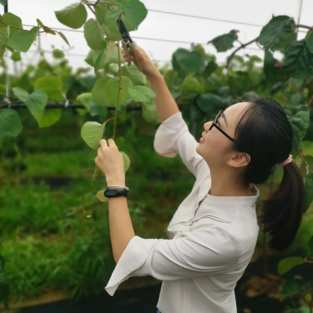 221598062523794740.jpeg 微信图片_20200822101139.jpg