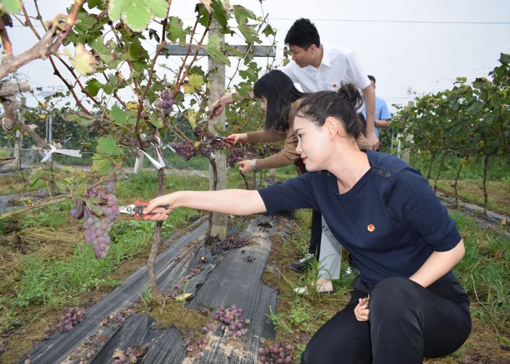 221598062567969611.jpeg 微信图片_20200822101212.jpg