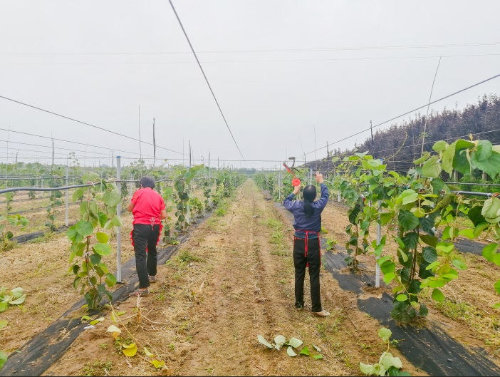 251598346663804913.jpeg 5.jpg