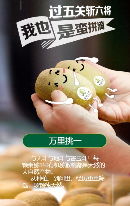 311598868236627803.jpeg 5.jpg