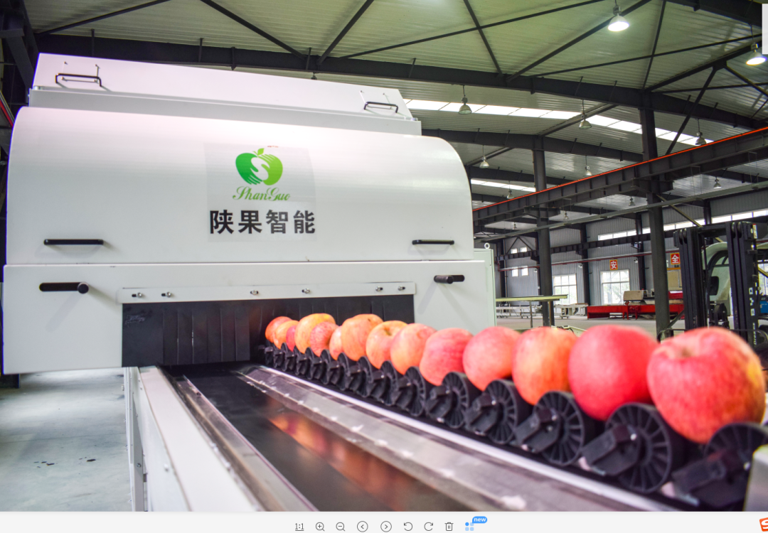 311598868253995875.png 8.png