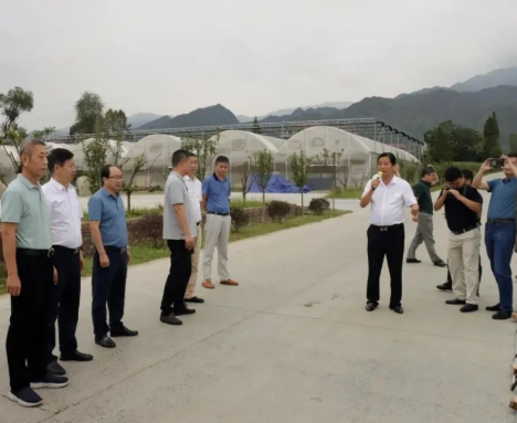 021599009245302001.png 21.png