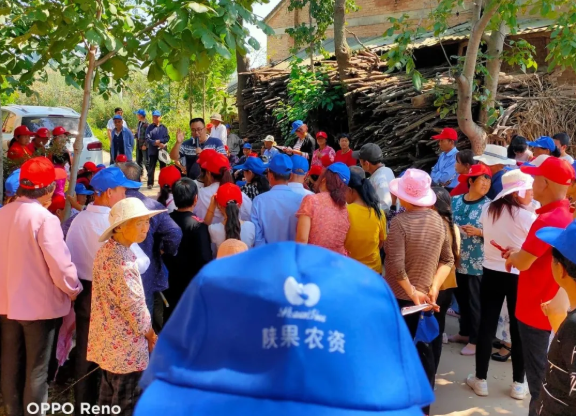 041599182298336682.png 24.png