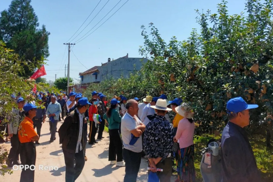 041599182312801434.png 25.png