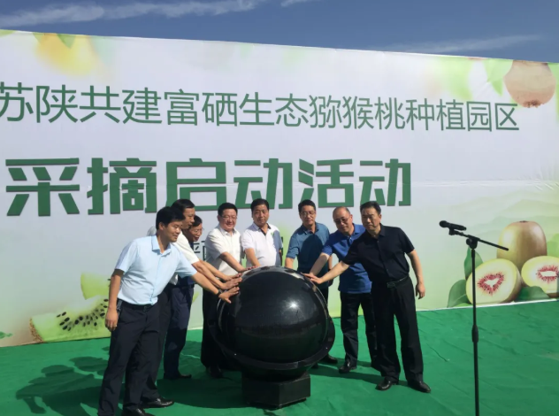 161600239592856395.png 36.png