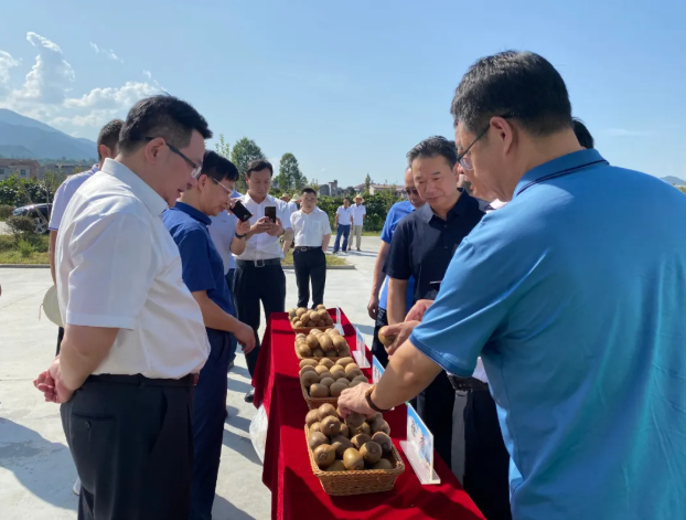 161600239603896178.png 37.png