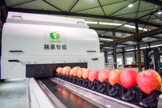 161600240094853211.png 38.png