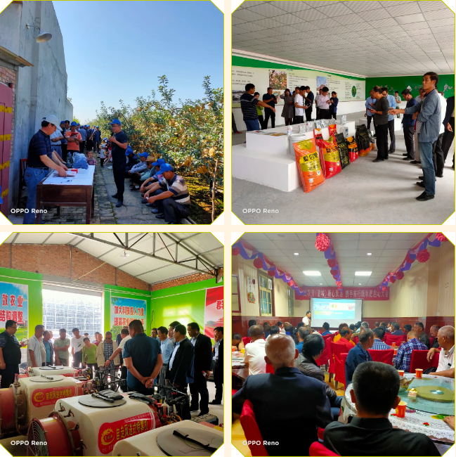 171600303586889188.png 45.png