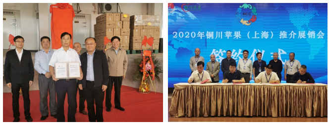 221600735848672062.png 66.png