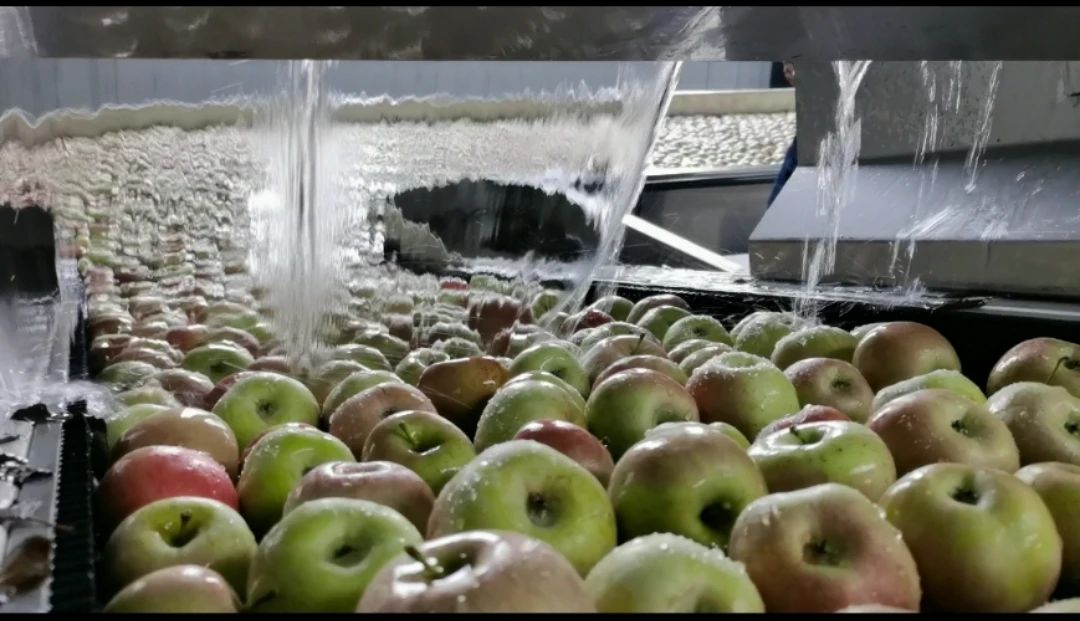 241600953442692469.jpeg 微信图片_20200924211437.jpg