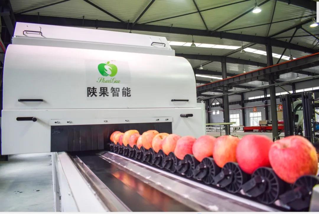 281601254238564645.jpeg 微信图片_20200928085031.jpg