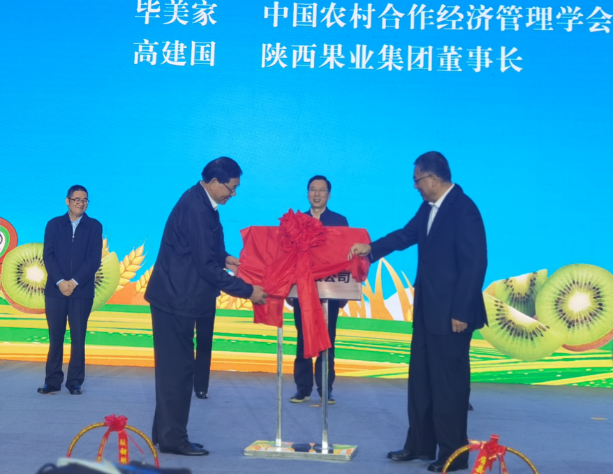 101602300996492294.png 1.png