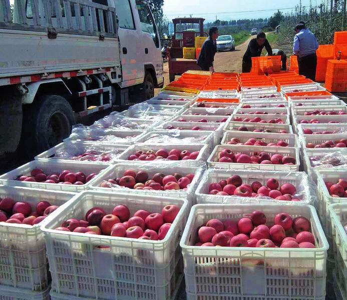 171605604857865448.jpeg c4a75c38595d616cd92dcc17e3fec72a_img_579_932_281_248.jpg