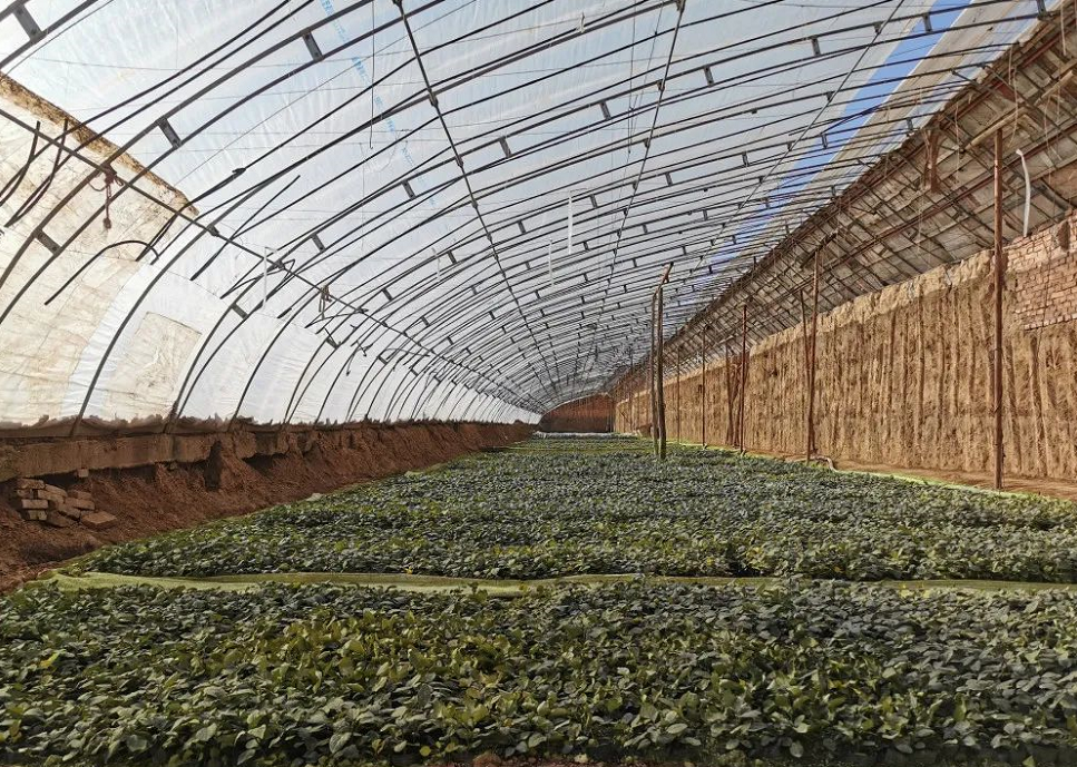 251611537154633382.png 251611537154633382.png