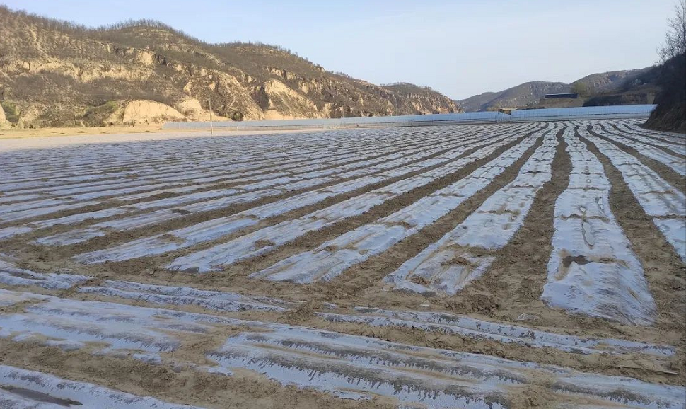 251611537210241813.png 251611537210241813.png