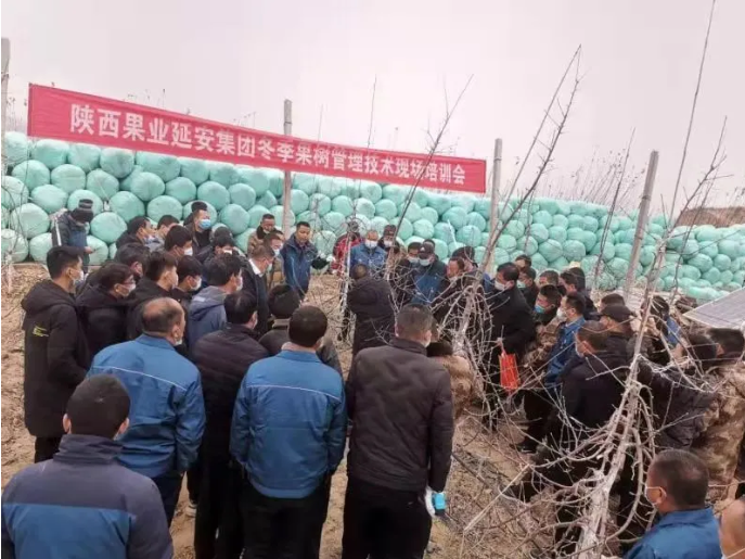 041612401797346753.png 58.png