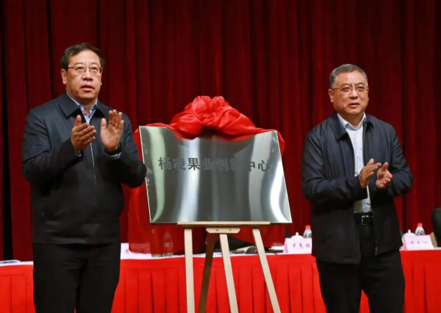 251614214715895619.png 1.png