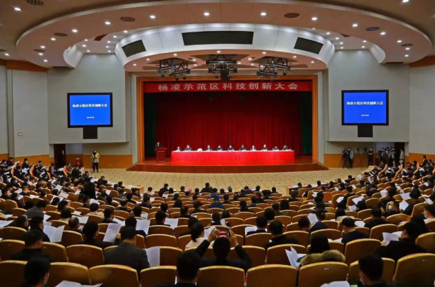 251614214734433791.png 2.png