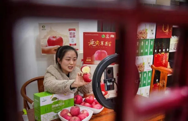 031614741774726731.png 2.png