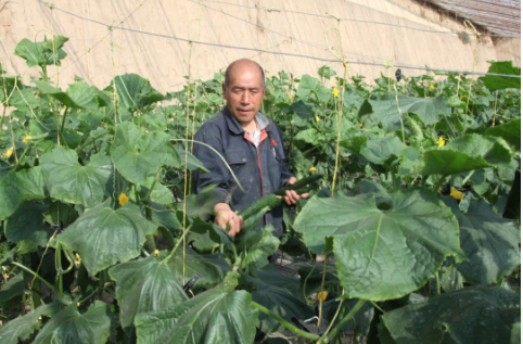 081615166594670779.png 6.png