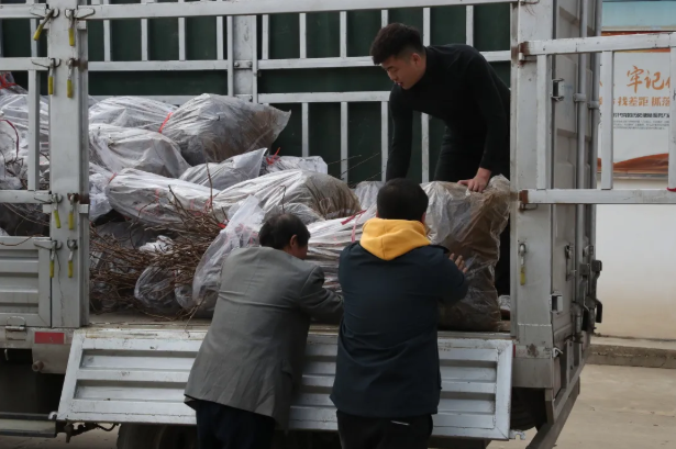 171615945249125239.png 222.png