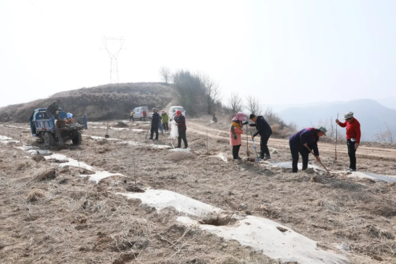 311617153360143822.png 1.png