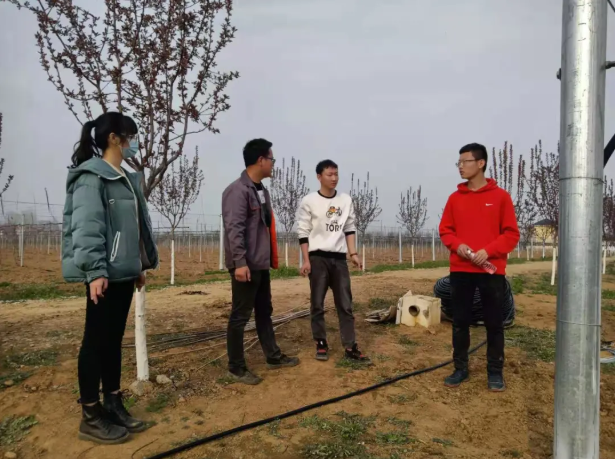 311617153516787133.png 4.png