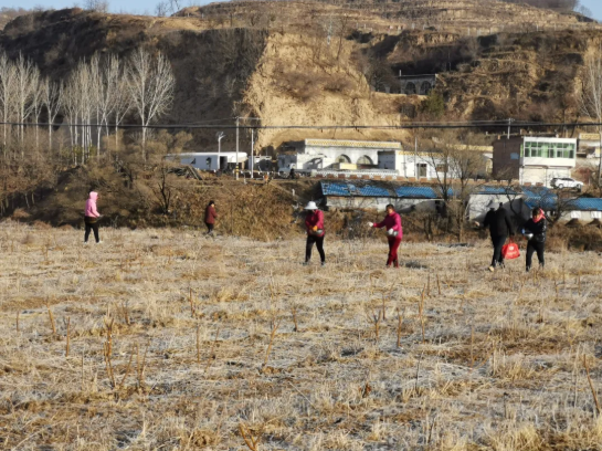 311617156293147812.png 3.png