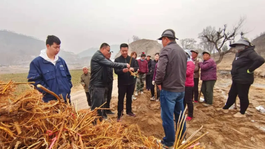 311617156309431393.png 4.png