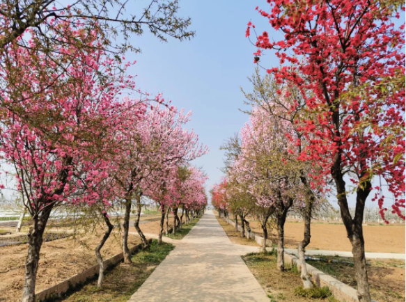 131618275462747331.png 1.png