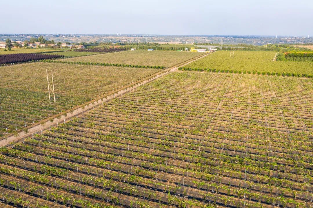 271622076022819943.jpeg 微信图片_20210527083854.jpg