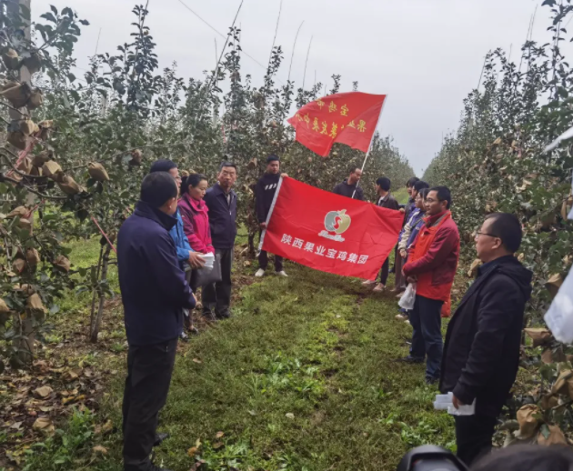 031635902387563573.png 微信图片_20211103091950.png