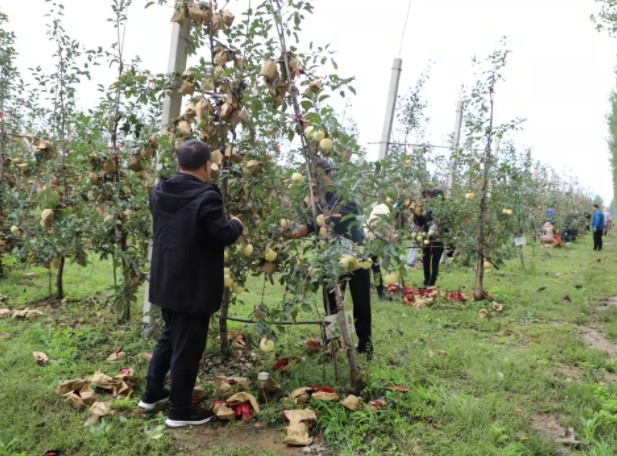 031635902395548397.png 微信图片_20211103091954.png