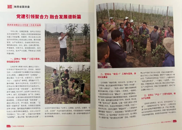 031635905508663053.png 微信图片_20211103101137.png