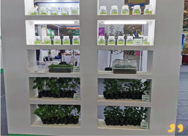 031635908016307607.png 微信图片_20211103105320.png