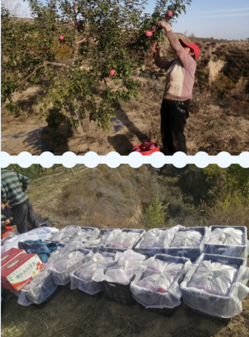 031635908741580175.png 微信图片_20211103110550.png