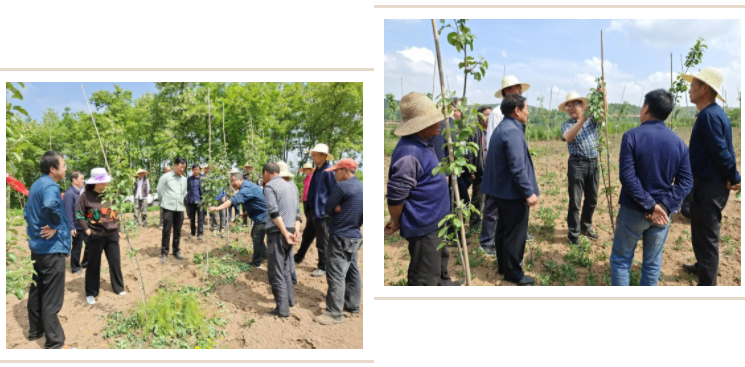 031635908994296144.png 微信图片_20211103110958.png