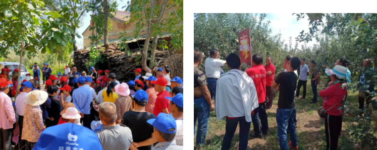 041635988331901225.png 微信图片_20211104091106.png