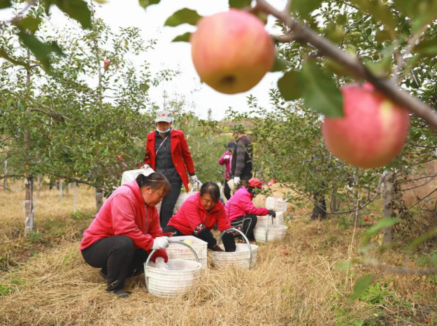 051636074837467788.png 微信图片_20211105091259.png